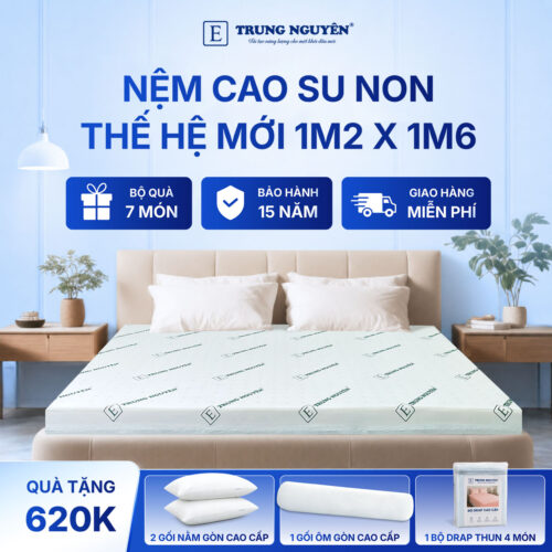 Nệm 1m2 x 1m6 1