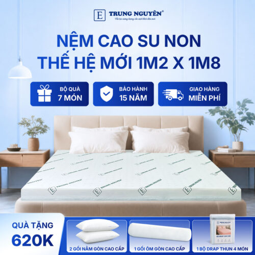 Nệm 1m2 x 1m8 1