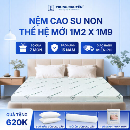 Nệm 1m2 x 1m9 1