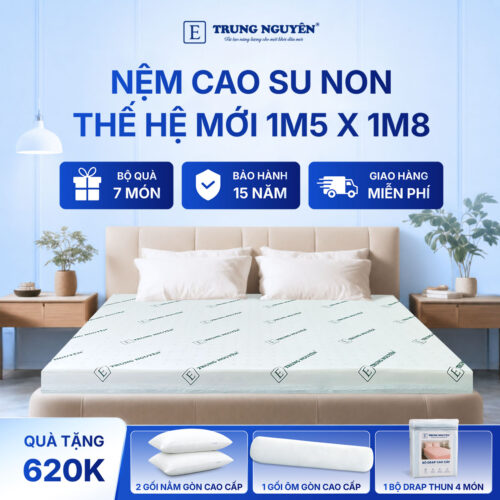 Nệm 1m5 x 1m8 1