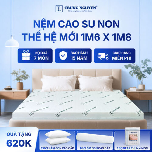 Nệm 1m6 x 1m8 1