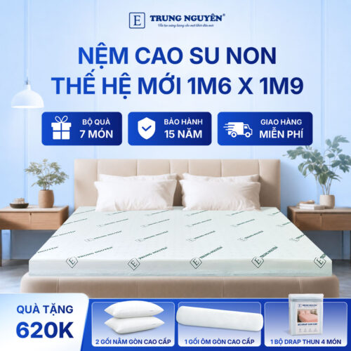 Nệm 1m6 x 1m9 1