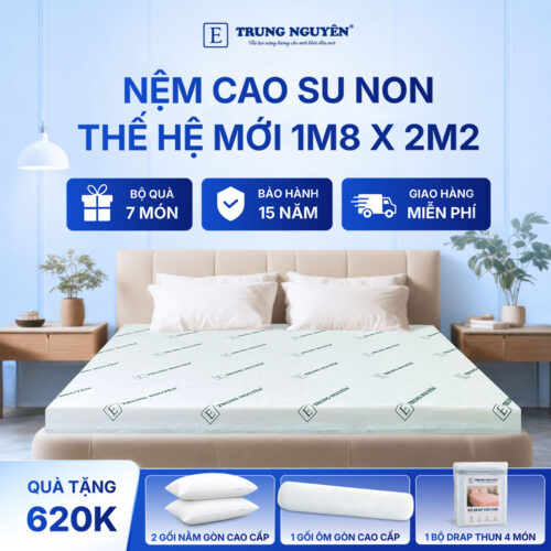 Nệm 1m8 x 2m2 1