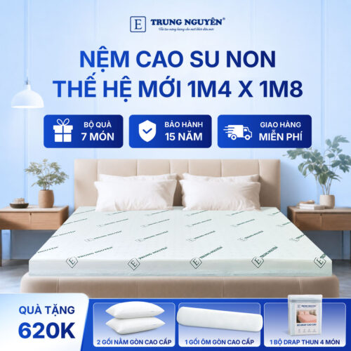Nệm 1m4 x 1m8 1
