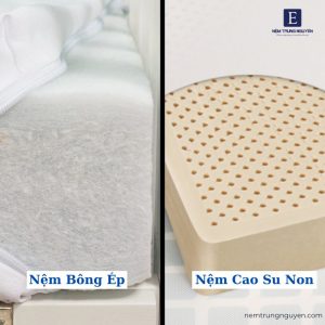 nệm cao su non và nệm bông ép