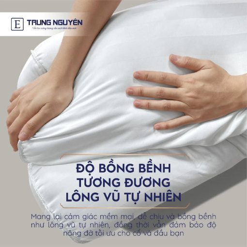 Ruột gối ôm lông vũ cao cấp Trung Nguyên