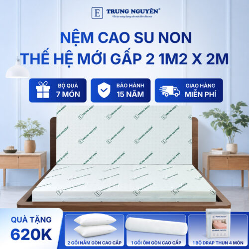 Nệm cao su non Trung Nguyên gấp 2 1m2 x 2m 1.1
