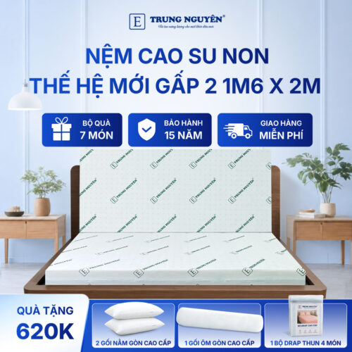 Nệm cao su non Trung Nguyên gấp 2 1m6 x 2m 1.1