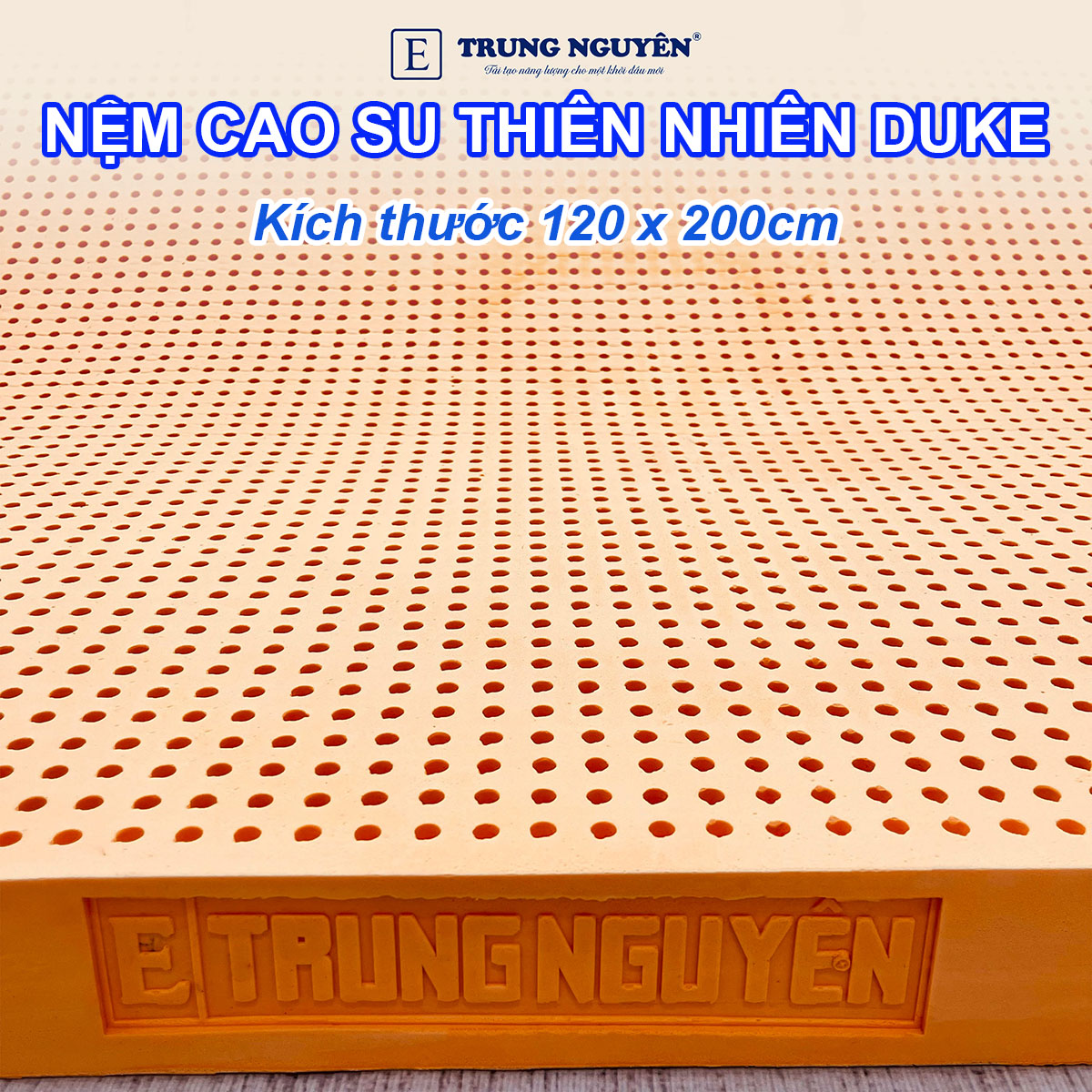 Nệm 1m2 x 2m chất liệu cao su thiên nhiên Nệm 1m2 x 2m chất liệu cao su thiên nhiên