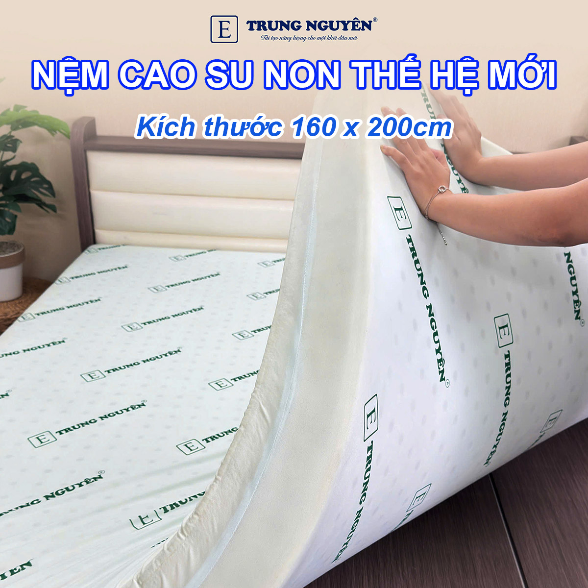 Đệm 1m6 x 2m bằng chất liệu cao su non