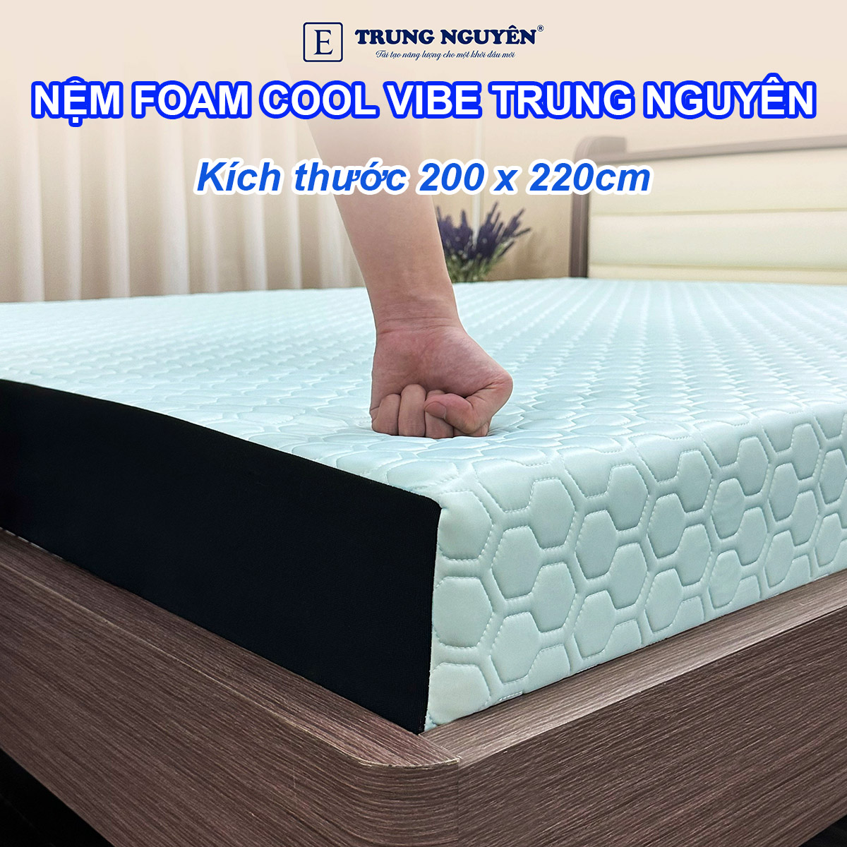 Đệm 2m x 2m2 Foam đẳng cấp và sang trọng Đệm 2m x 2m2 Foam đẳng cấp và sang trọng