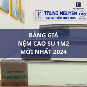 Bảng giá nệm cao su 1m2