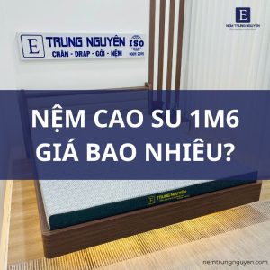 Nệm cao su 1m6