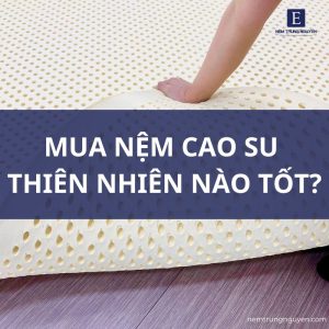 Đệm cao su thiên nhiên nào tốt