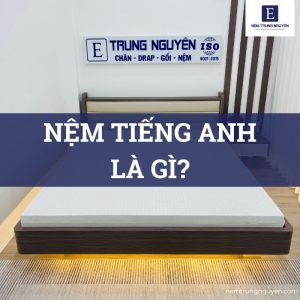 Nệm tiếng Anh là gì?