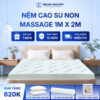 Nệm cao su non massage Trung Nguyên 1m x 2m 1.1