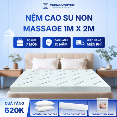 Nệm cao su non massage Trung Nguyên 1m x 2m 1.1