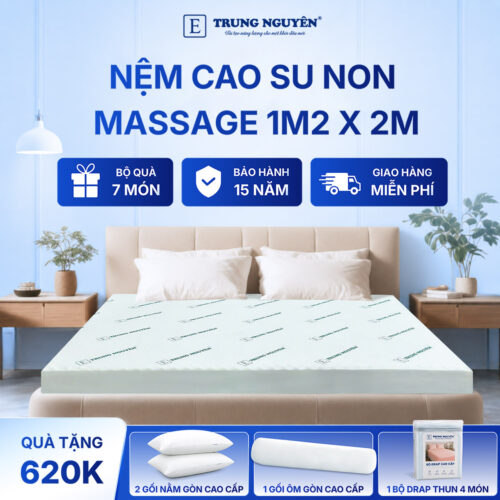 Nệm cao su non massage Trung Nguyên 1m2 x 2m 1.1