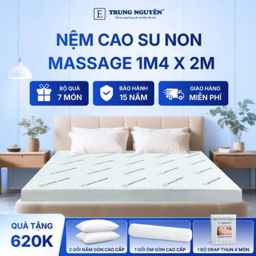 Nệm cao su non massage Trung Nguyên 1m4 x 2m 1.1