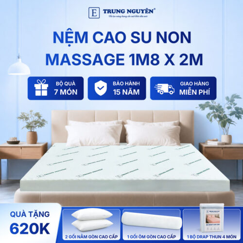 Nệm cao su non massage Trung Nguyên 1m8 x 2m 1.1