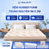 Nệm rubber foam Trung Nguyên 1m x 2m 50