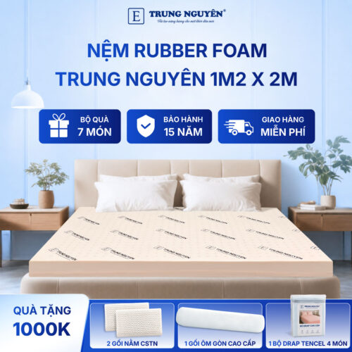 Nệm rubber foam Trung Nguyên 1m2 x 2m 50