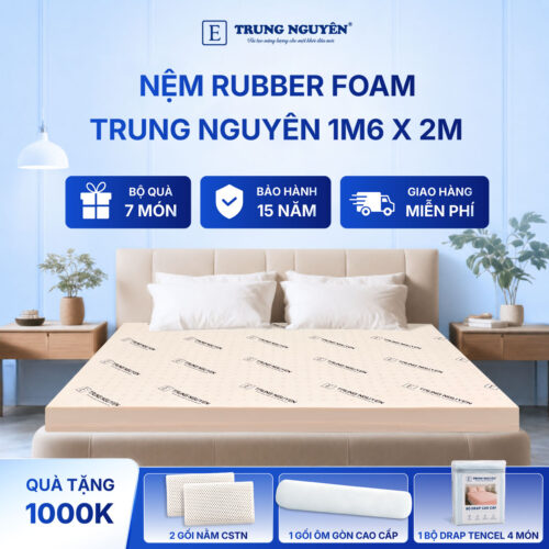 Nệm rubber foam Trung Nguyên 1m6 x 2m 50