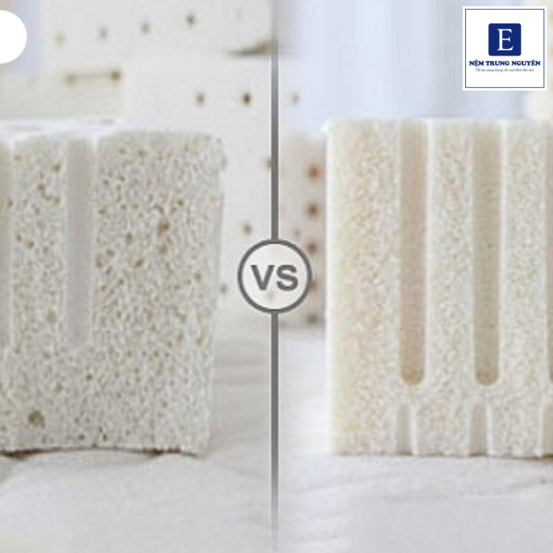 So sánh chi tiết giữa cao su Dunlop và Talalay