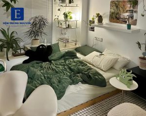 CÂY TRỒNG TRONG PHÒNG NGỦ 1