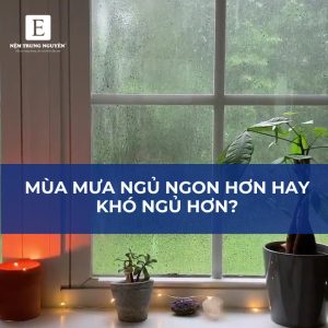 mùa mưa khó ngủ hay dễ ngủ hơn