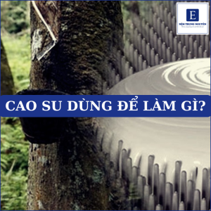 Cao su dùng để làm gì