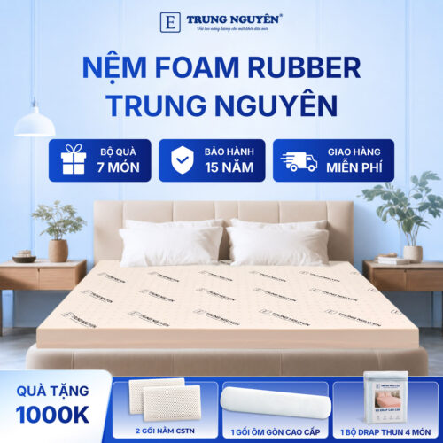 Nệm rubber foam Trung Nguyên 1.1