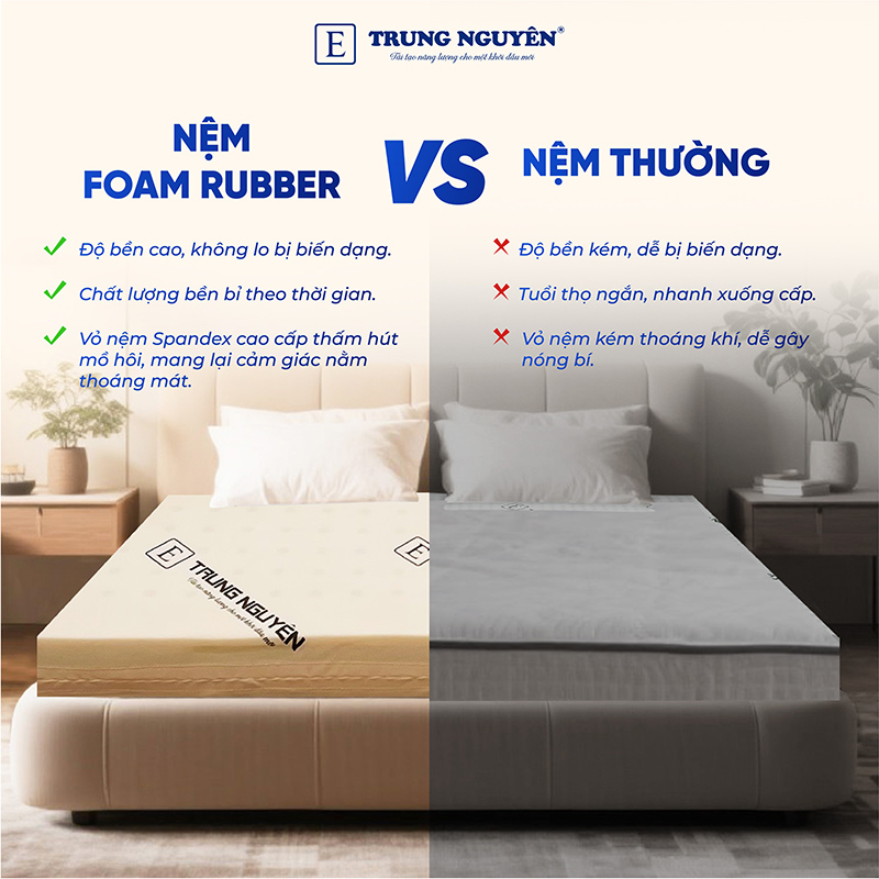 Đặc điểm nổi bật của nệm Rubber Foam Trung Nguyên