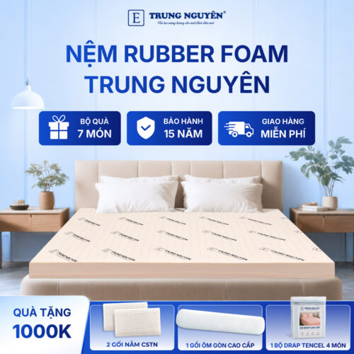 Nệm rubber foam Trung Nguyên 20
