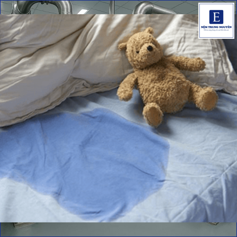 Xác định mức độ nệm bị ướt trước khi xử lý