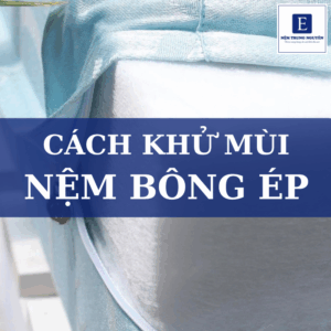Cách khử mùi nệm bông ép hiệu quả tại nhà – Sạch mùi, khô thoáng, không hư nệm