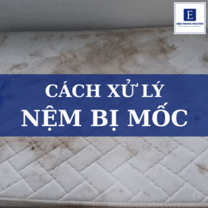 Cách xử lý nệm bị mốc hiệu quả