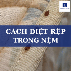 Cách diệt rệp trong nệm
