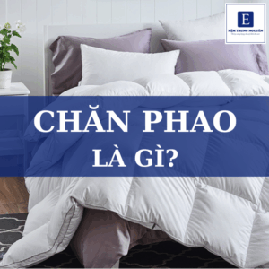 Chăn phao là gì