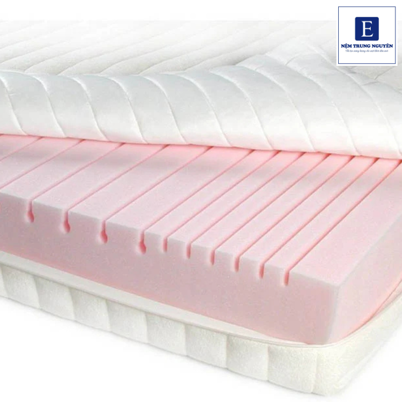 Nệm PU Foam phù hợp với nhiều nhóm người dùng khác nhau trong đời sống hằng ngày