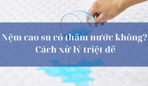 Nệm cao su có thấm nước không?