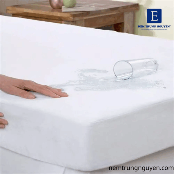 Nệm cao su có khả năng chống nước hay không?