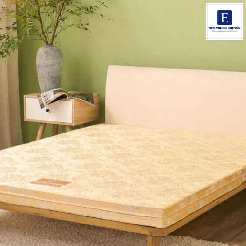 Khi chọn nệm bông ép cần xem xét tổng thể nhiều yếu tố khác nhau
