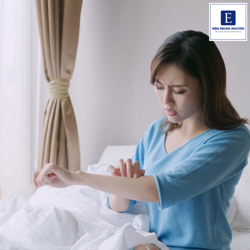 Có rất nhiều nguyên nhân dẫn đến tình trạng nằm nệm bị ngứa
