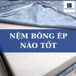 Nệm bông ép nào tốt? Top 5 nệm bông ép bền, giá tốt nên mua