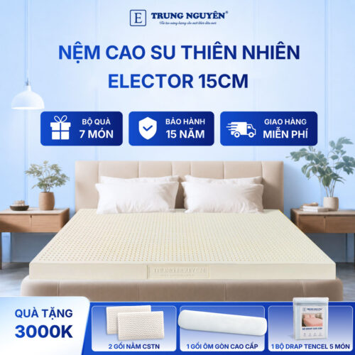Nệm cao su thiên nhiên Trung Nguyên classic 15cm 60