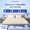 Nệm cao su thiên nhiên Trung Nguyên classic 5cm 60