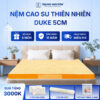 Nệm Cao Su Thiên Nhiên Trung Nguyên Gold 5cm