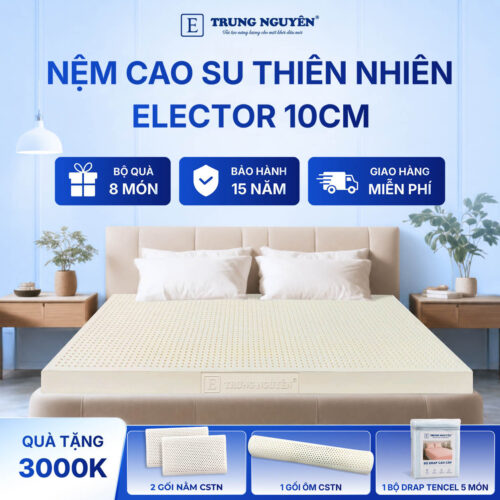 Nệm Cao Su Thiên Nhiên Trung Nguyên Legend Classic 10cm