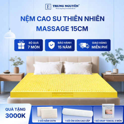 Nệm cao su thiên nhiên Trung Nguyên massage 15cm 60